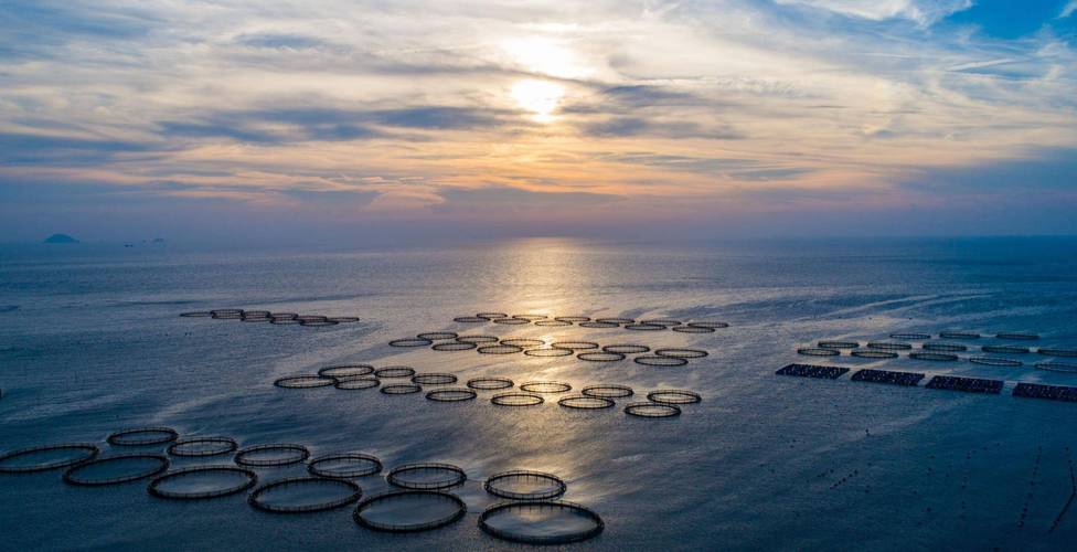 浙江海边景区-图1