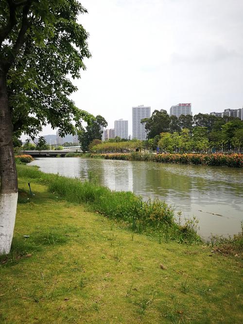 蕉门河景区-图3