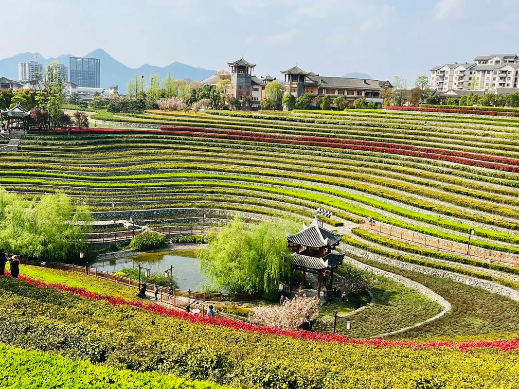 毕节大方旅游景区-图3