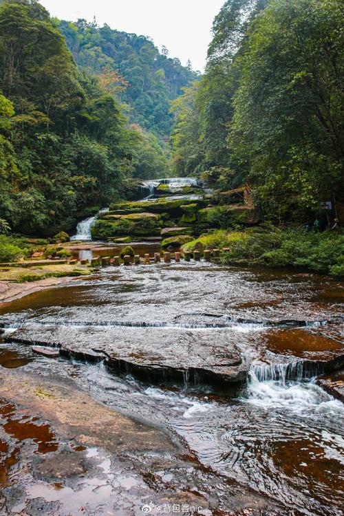 黄荆老林景区好耍不-图1