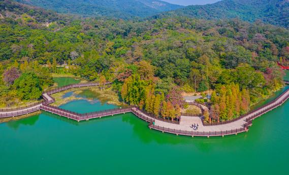 江门风景旅游景区-图3