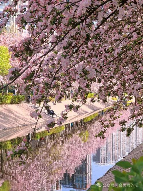 海棠花溪景区-图1