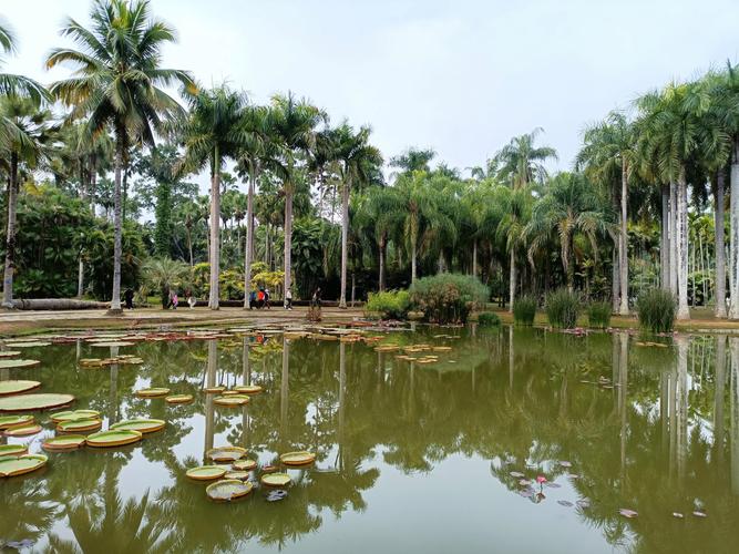 西双版纳主要旅游景区-图2