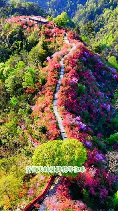 青天峡风景区-图2