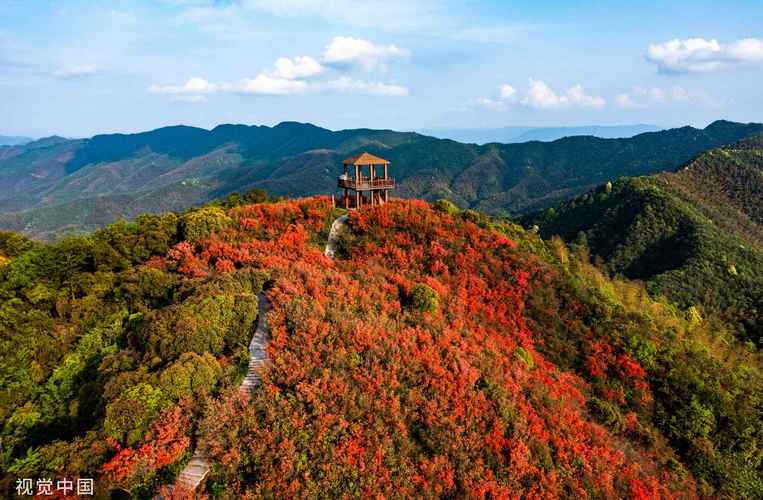 江西杜鹃山景区-图1