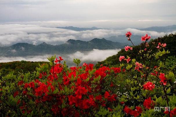 江西杜鹃山景区-图3