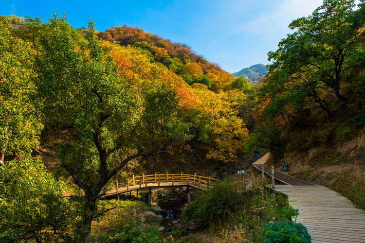 核桃沟风景区-图1