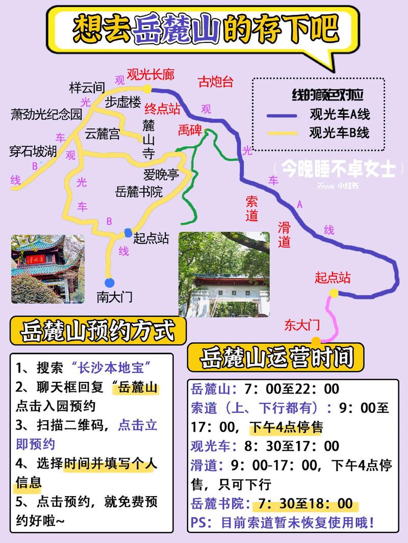 岳麓山旅游攻略，如何规划一次完美的行程？-图3