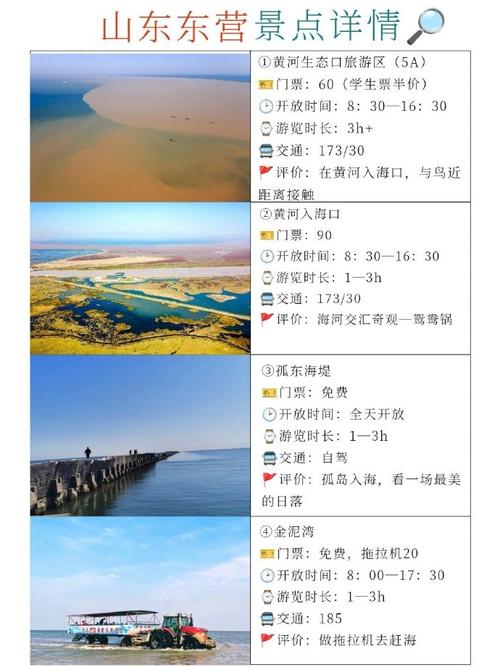 东营旅游攻略，如何规划一次完美的东营之旅？-图3