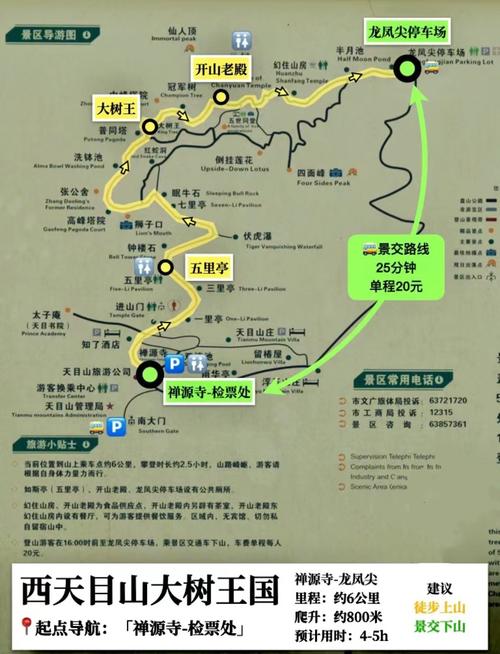 天目山旅游景点攻略，如何规划一次完美的旅行体验？-图1