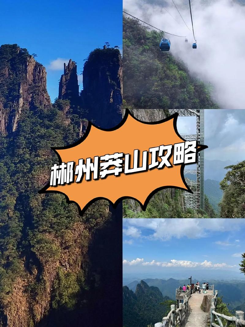 郴州莽山旅游攻略，如何规划一次完美的莽山之旅？-图3