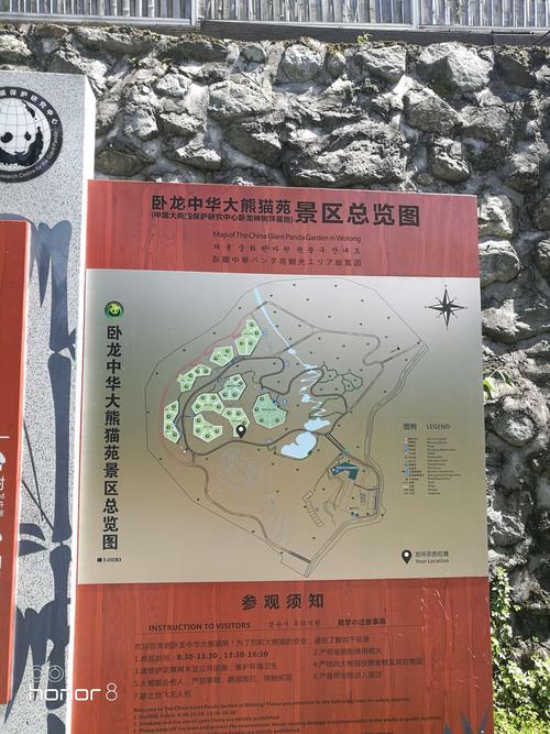 四川卧龙景区旅游攻略，如何规划一次完美的旅行？-图1