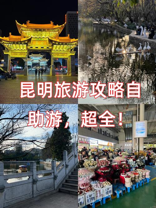 昆明自助游攻略，如何规划一次完美的旅行？-图2