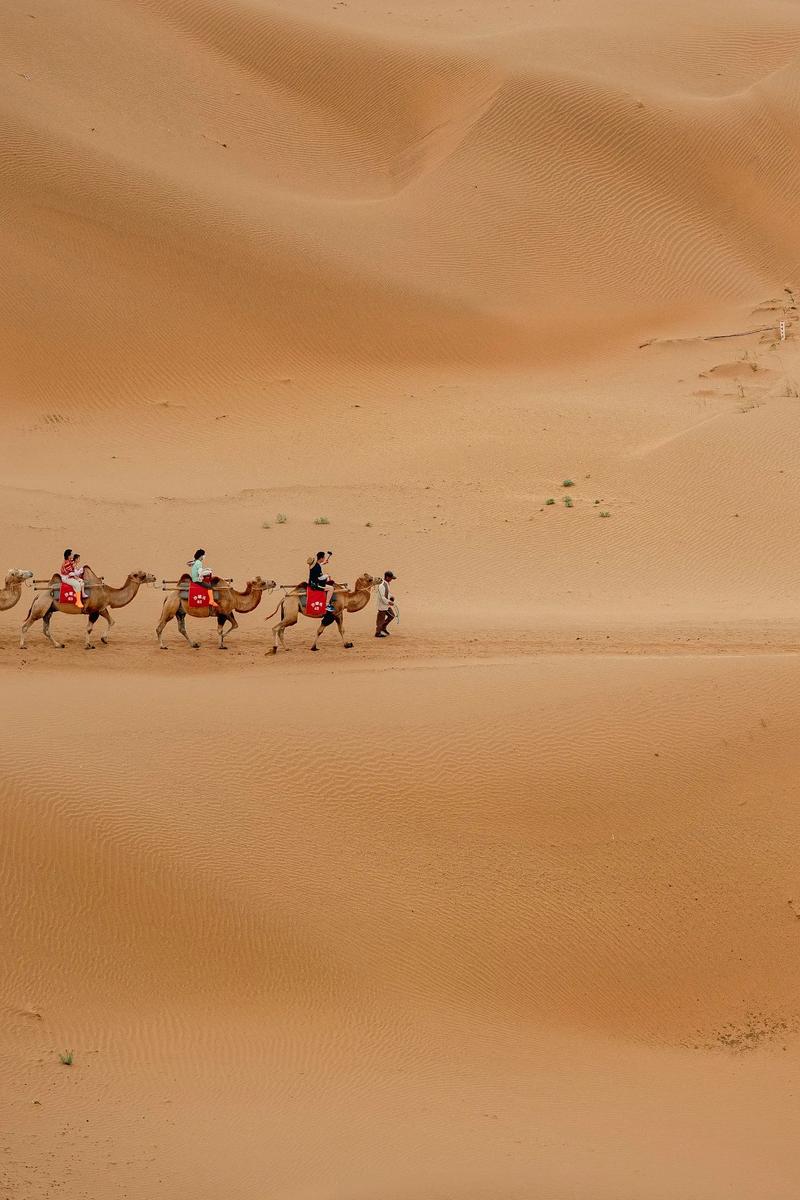 沙坡头旅游攻略，如何规划一次完美的旅行体验？-图2