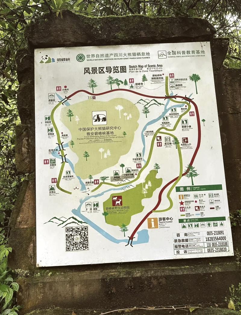 雅安碧峰峡旅游攻略，如何规划一次完美的旅行体验？-图2