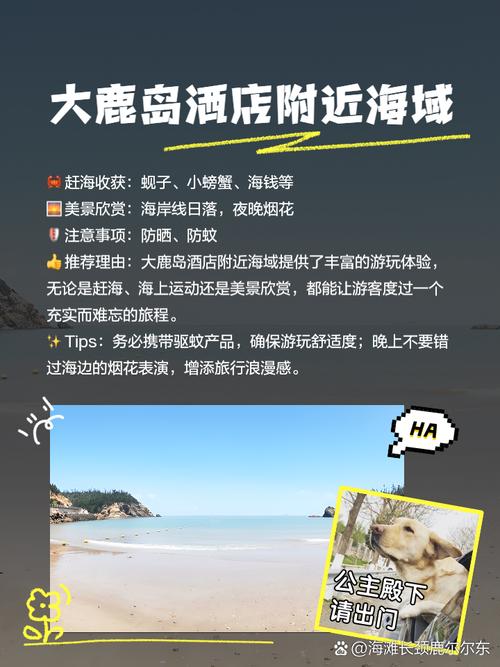 丹东大鹿岛旅游攻略，如何规划一次完美的旅行体验？-图3