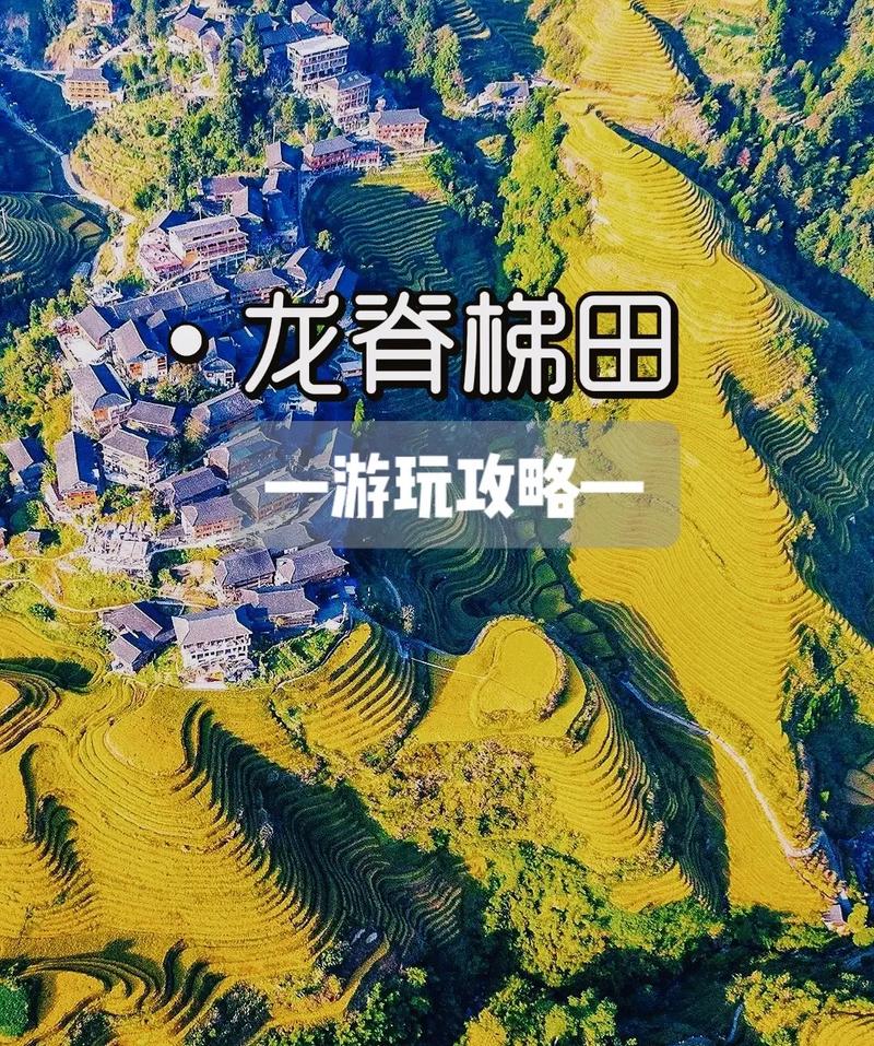 探索桂林龙脊梯田，一份详尽的旅游攻略能带来怎样的旅行体验？-图3