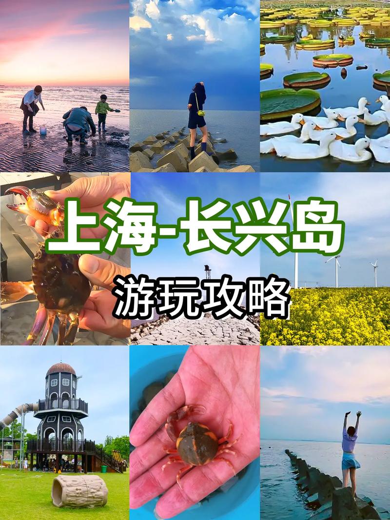 长兴岛旅游攻略，如何玩转这座美丽的海岛？-图1