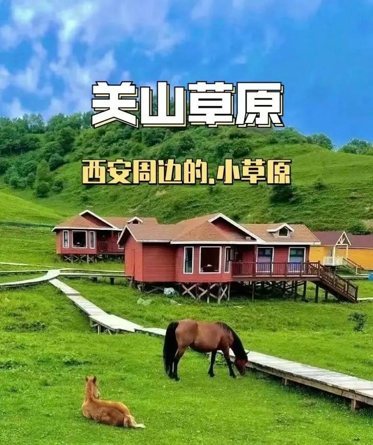 关山牧场旅游攻略，如何规划一次完美的旅行体验？-图2