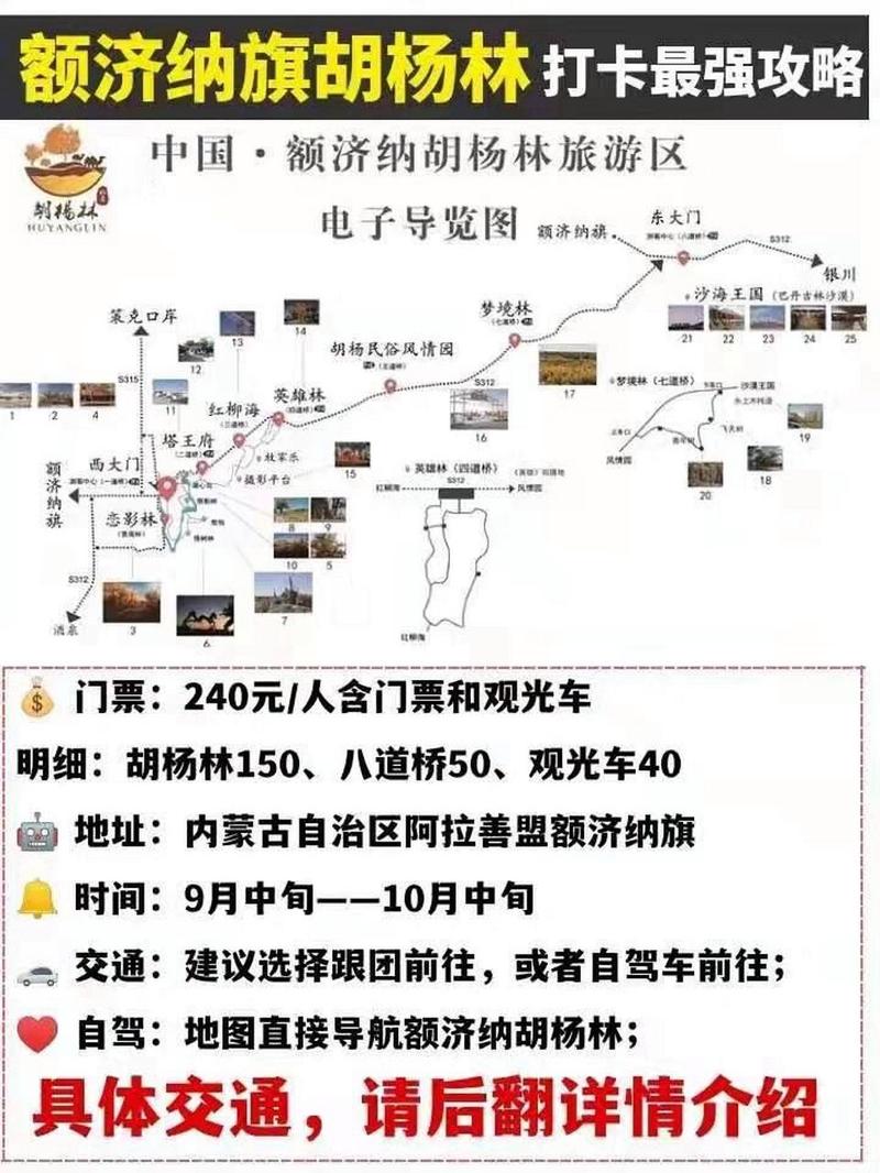 内蒙胡杨林旅游攻略，如何规划一次难忘的旅行？-图2