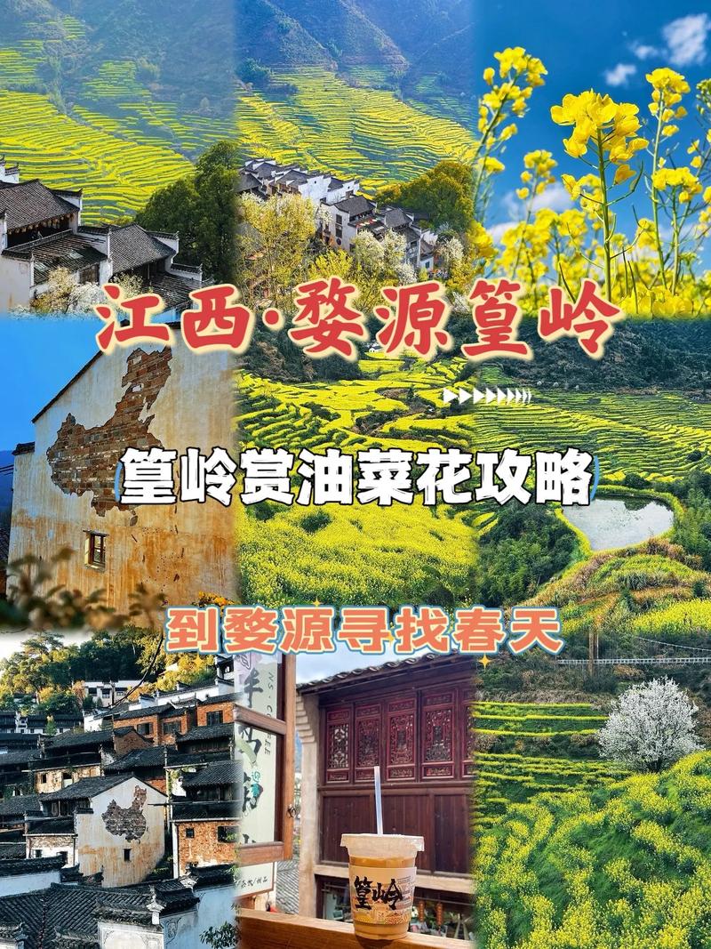 篁岭旅游攻略，如何玩转这个美丽的乡村？-图3