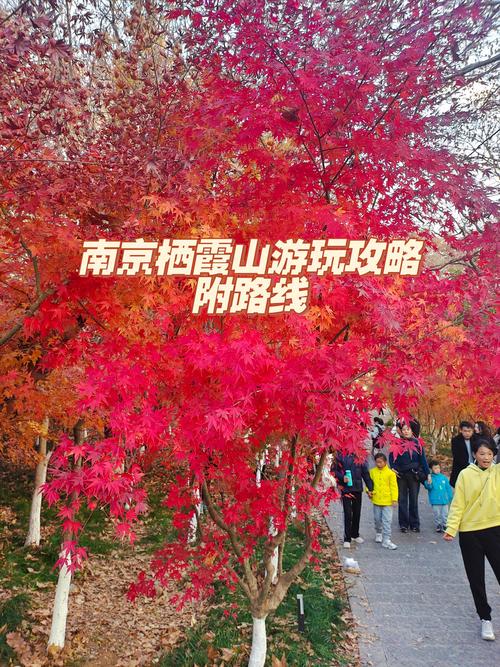 南京栖霞山旅游攻略，如何规划一次完美的旅行体验？-图3