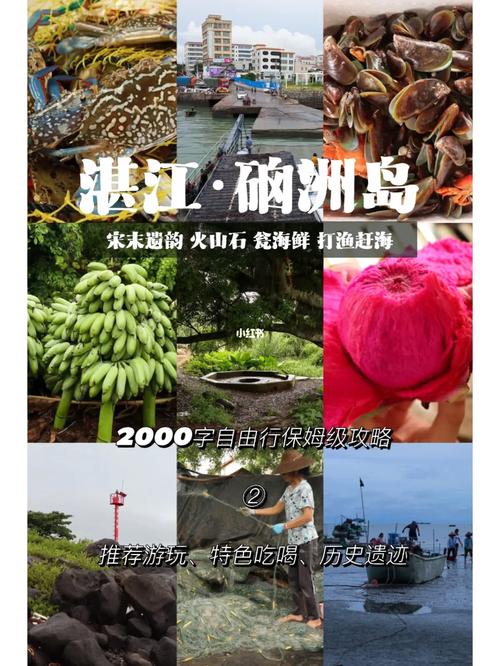 湛江硇洲岛旅游攻略，如何玩转这座美丽的海岛？-图3