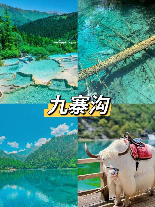 九寨沟自由行旅游攻略，如何规划一次完美的旅行？-图1