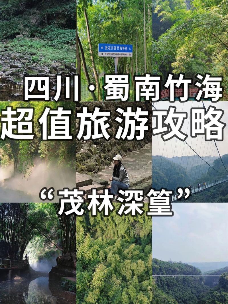 川西竹海旅游攻略，如何规划一次完美的旅行体验？-图3