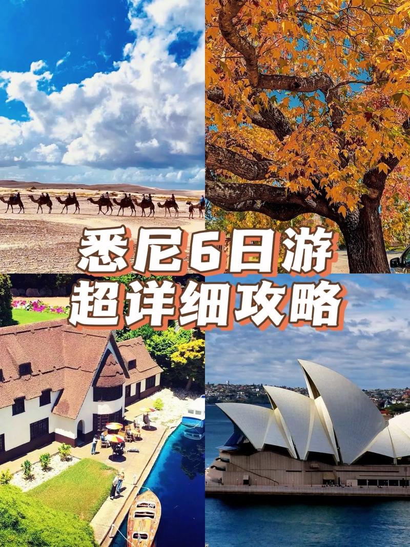 悉尼旅游攻略，如何玩转这座魅力之城？-图1