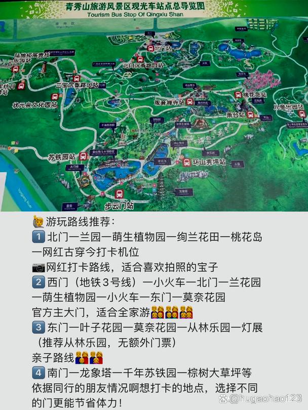 青秀山旅游攻略，如何规划一次完美的旅行体验？-图3