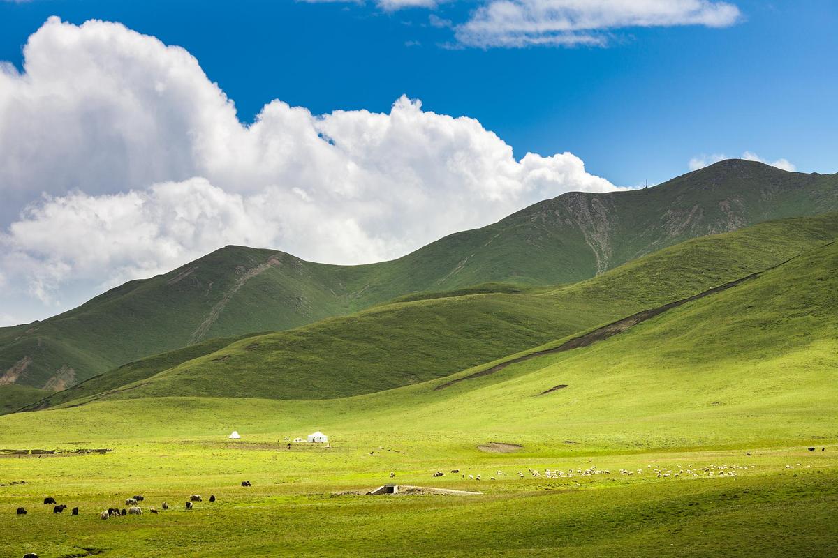 祁连山草原旅游攻略，如何规划一次完美的旅行体验？-图1