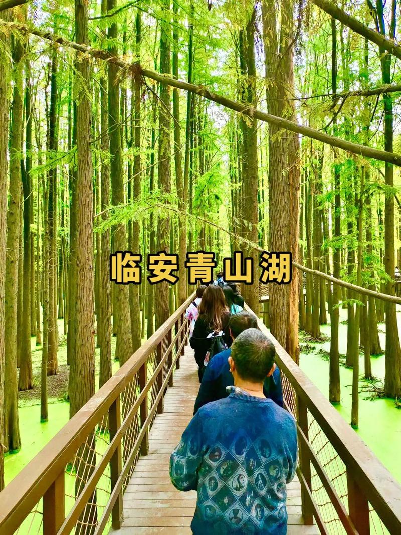 临安青山湖旅游攻略，如何规划一次完美的旅行？-图1