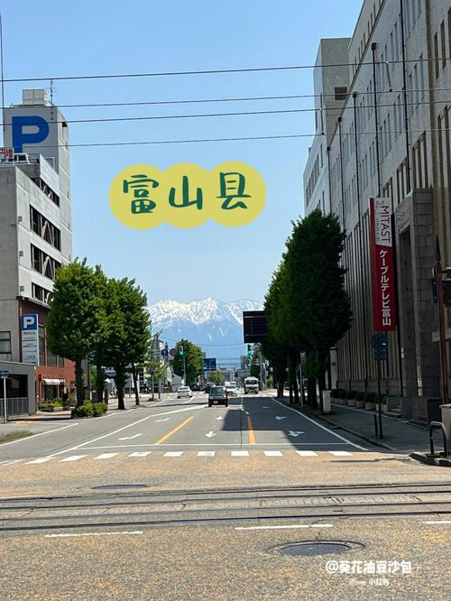 探索富山之美，日本富山旅游攻略有哪些必去景点和特色体验？-图1