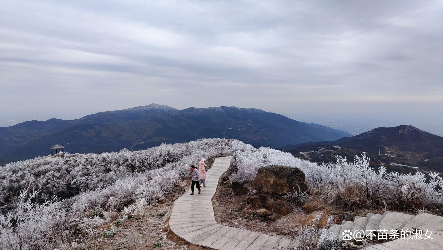 南昌梅岭景区旅游攻略，如何规划一次完美的旅行？-图3