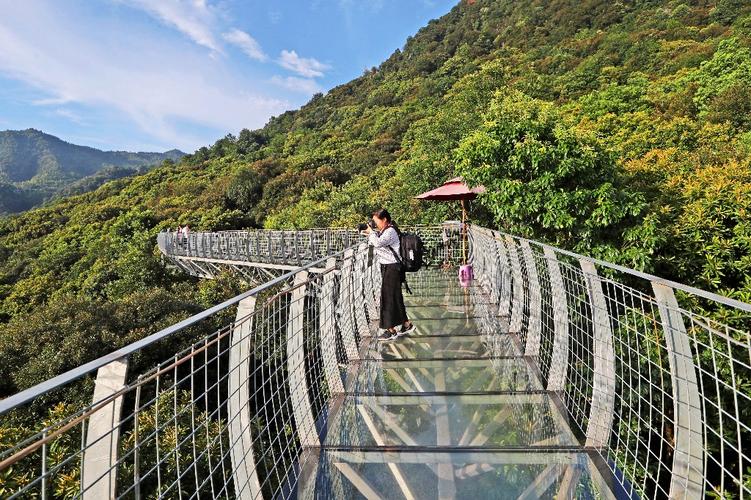 丫山风景区旅游攻略，如何规划一次完美的旅行体验？-图2