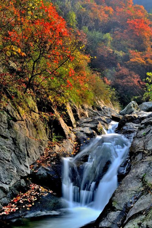 秦岭旅游攻略，哪些景点是必去的？-图2