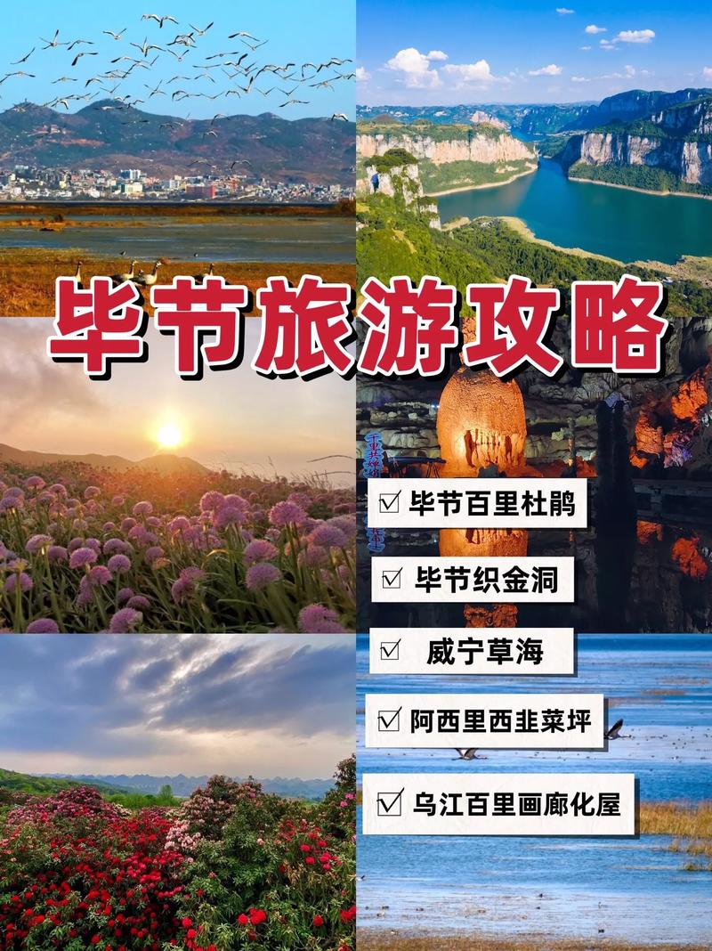 贵州毕节有哪些值得一游的旅游景点？-图1