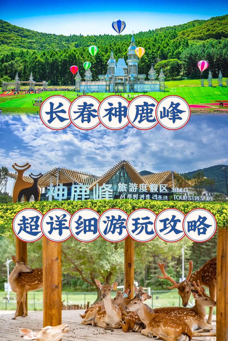 长春旅游攻略，如何规划一次完美的长春之旅？-图3