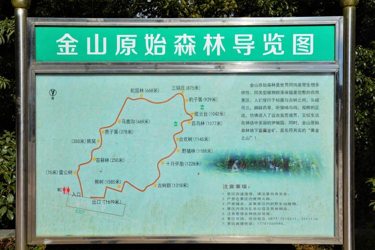 金山旅游攻略，如何规划一次完美的金山之旅？-图3