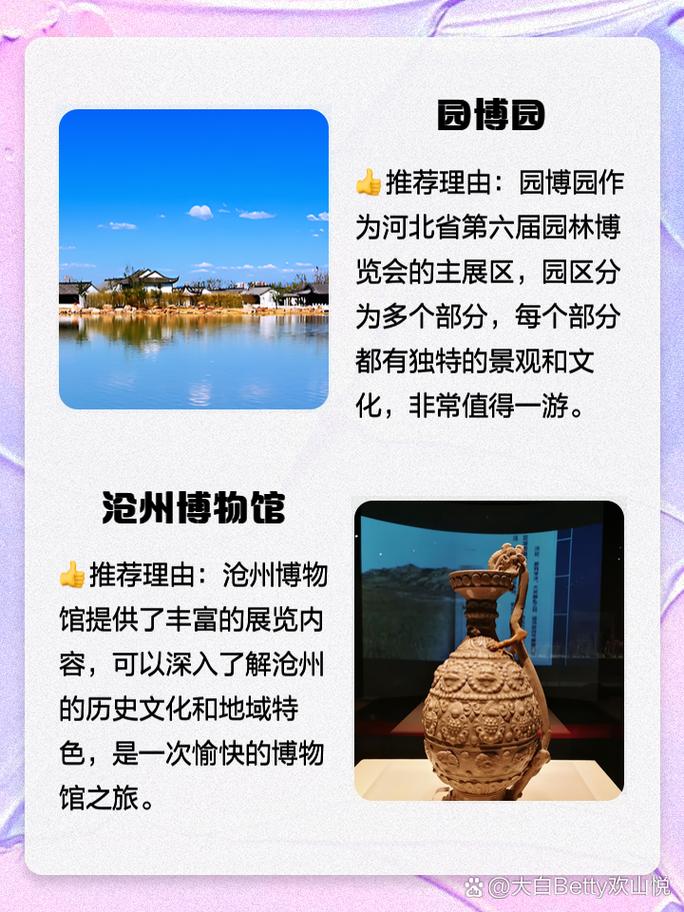 沧州旅游攻略，如何规划一次完美的沧州之旅？-图3