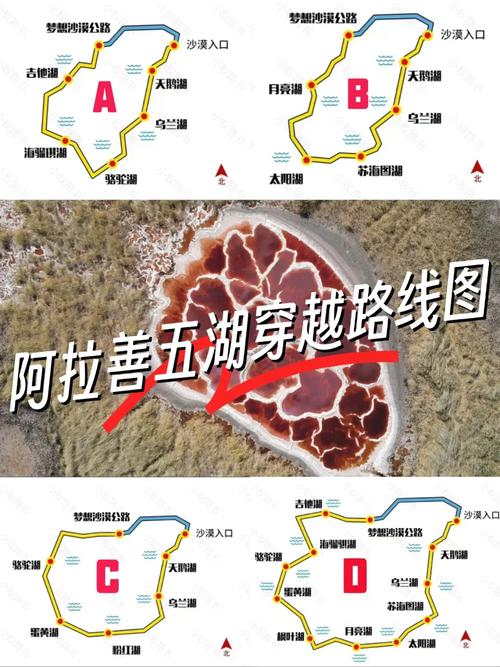 阿拉善旅游攻略，如何规划一次难忘的沙漠之旅？-图1