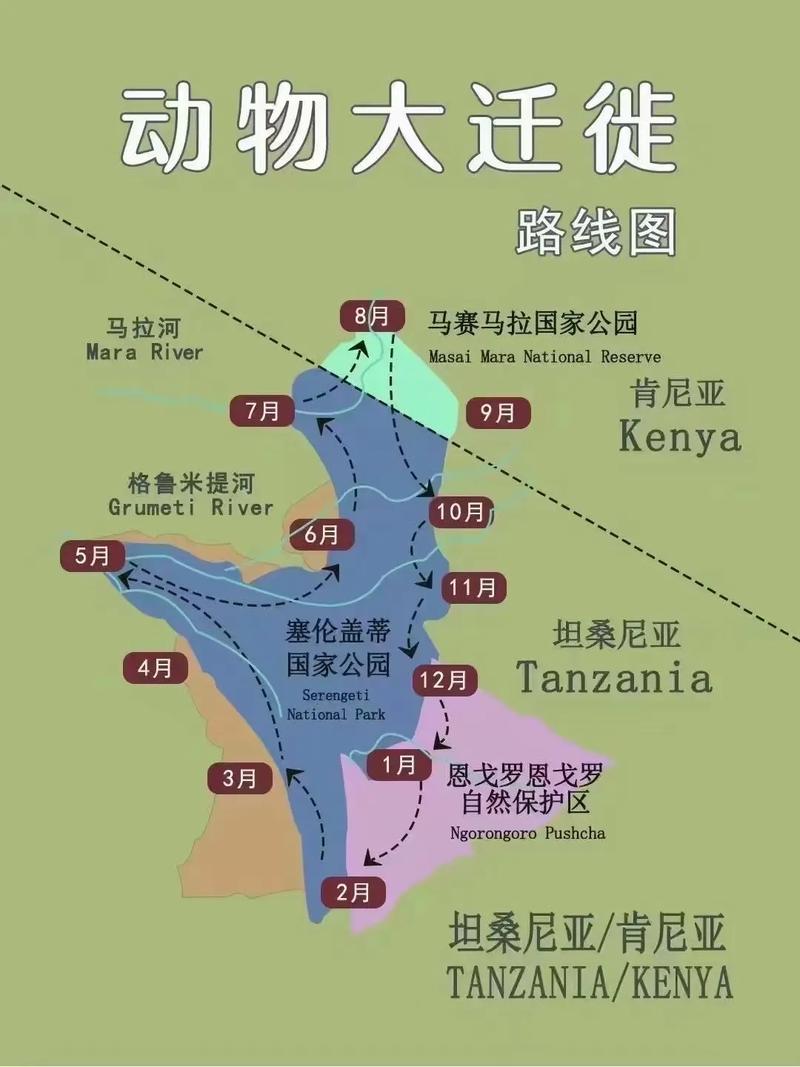 肯尼亚旅游攻略，探索东非明珠的完美指南是什么？-图1