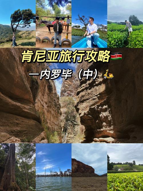 肯尼亚旅游攻略，探索东非明珠的完美指南是什么？-图3