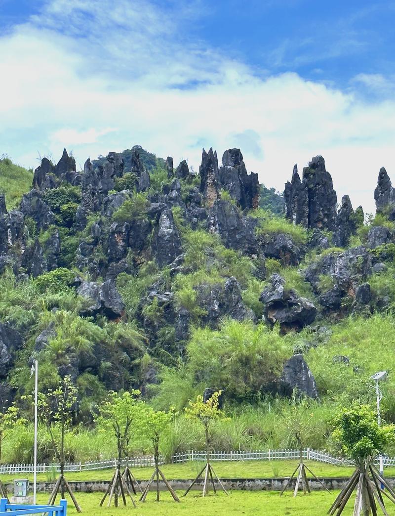 鹿寨旅游攻略，如何规划一次完美的旅行体验？-图2