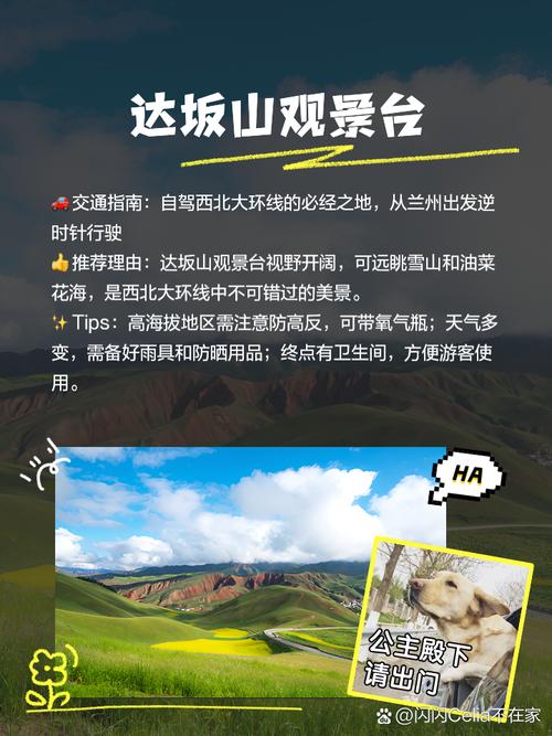 门源旅游攻略，如何规划一次完美的旅行体验？-图2