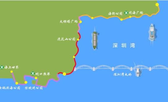 深圳湾旅游攻略，如何玩转这片美丽的海滨？-图2