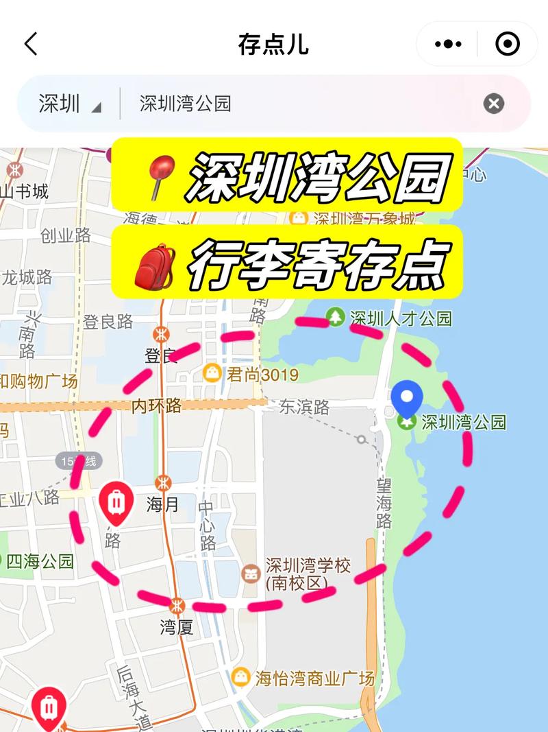 深圳湾旅游攻略，如何玩转这片美丽的海滨？-图3