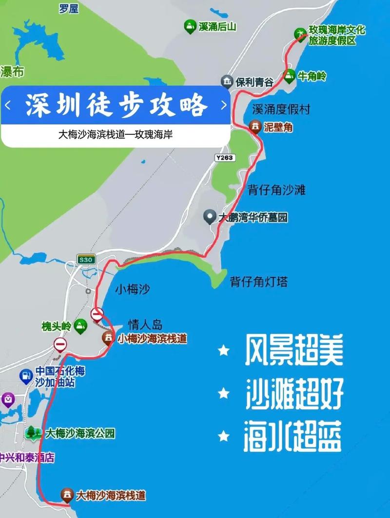 深圳湾旅游攻略，如何玩转这片美丽的海滨？-图1