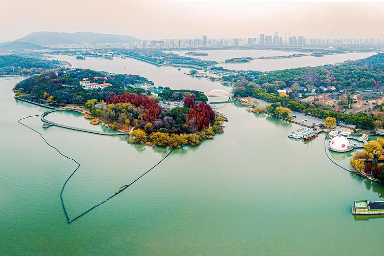 南京冬天旅游，有哪些不容错过的景点和活动？-图3